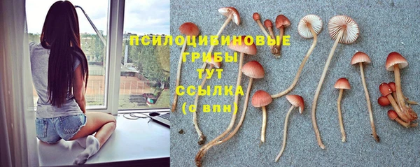 метамфетамин Аркадак