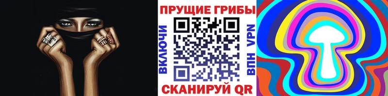магазин продажи наркотиков  Кукмор  Галлюциногенные грибы GOLDEN TEACHER 